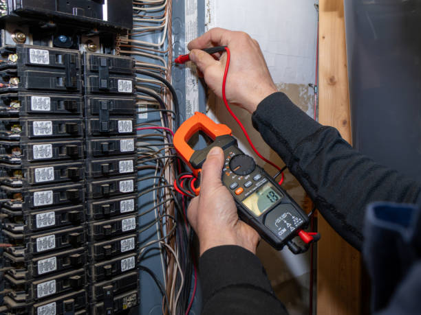 Best Electric Panel Repair  in Picacho Hills, NM